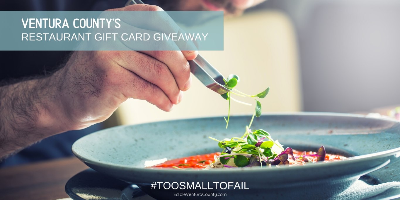 too small to fail chef plating food gift certificate support local