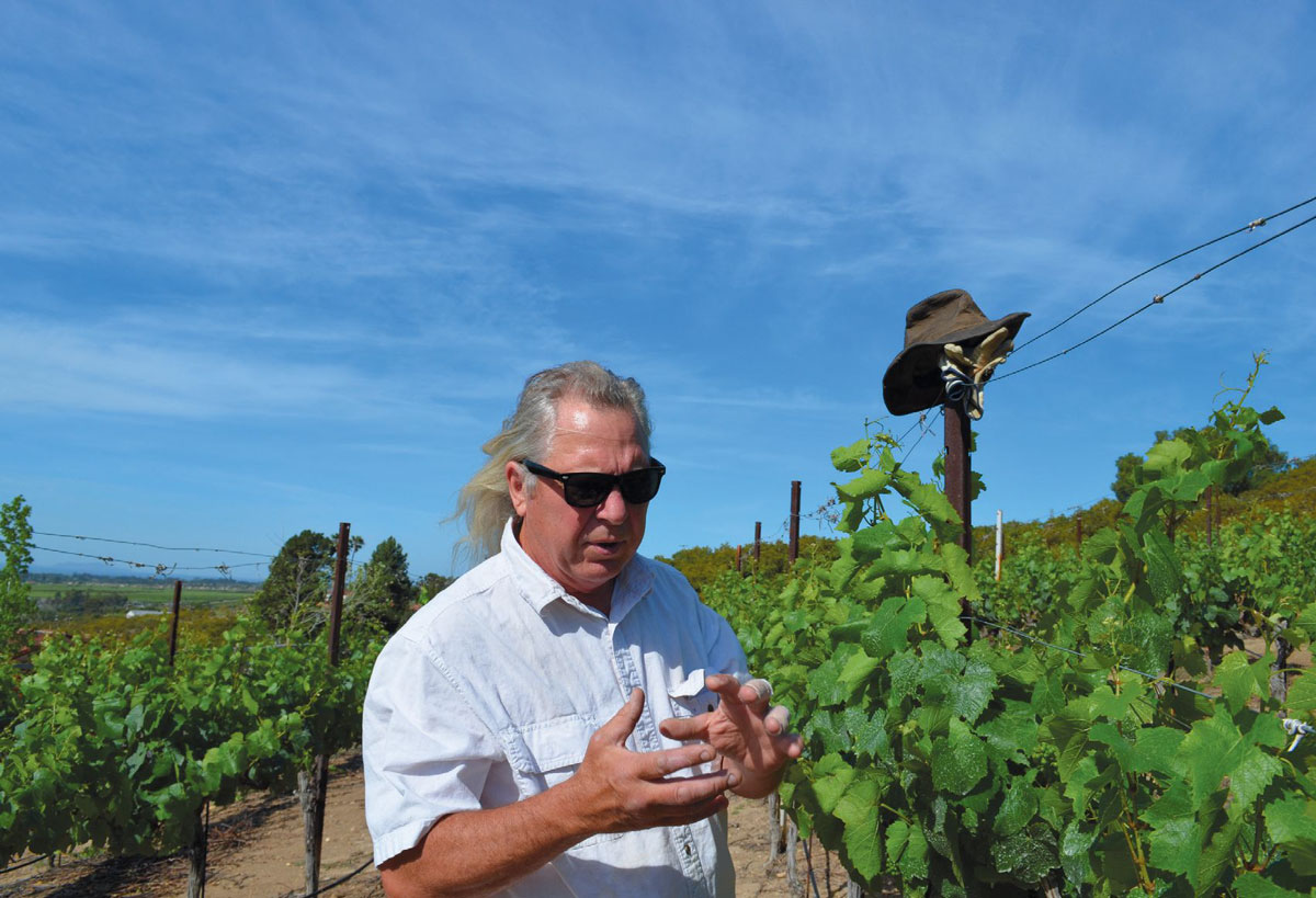 Bruce Freeman talking wine grapes in Saticoy.