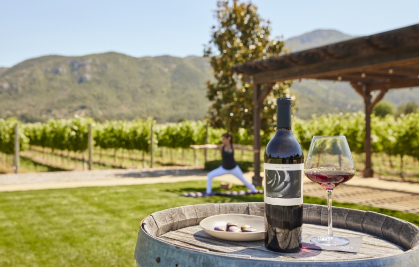 Mizel Estate Vineyard with yoga, wine and chocolates