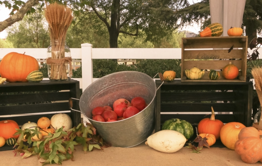 Fall Table Display