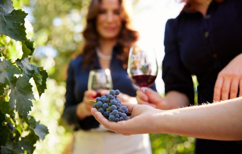 Women in Mizel Estate Vineyard with Grapes and Wine