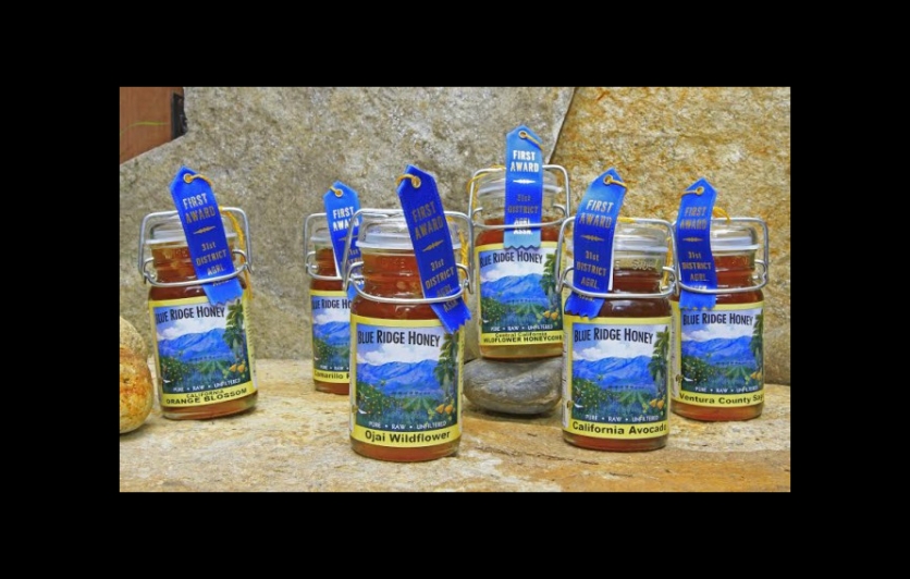Blue Ridge Honey Jars with Ribbons