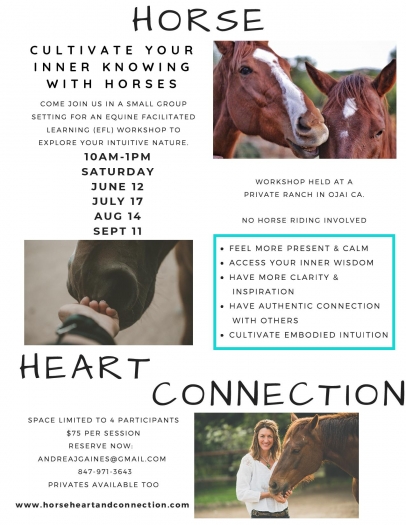 Horse, Heart & Connection, Ojai, California