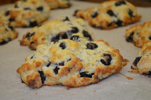 Blueberry-Biscones.jpg