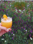 summer cocktail with peach puree, liqor 43, bourbon, amaretto, orange