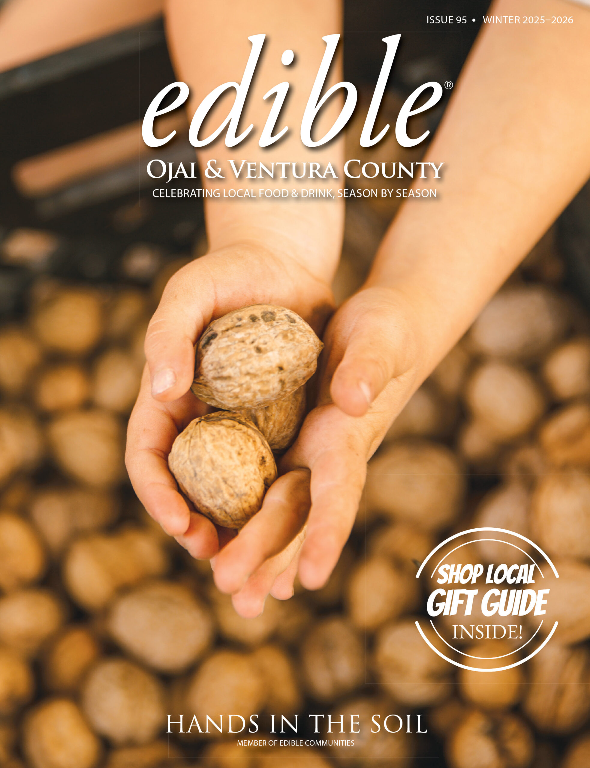 Small hands holding walnuts at a farm