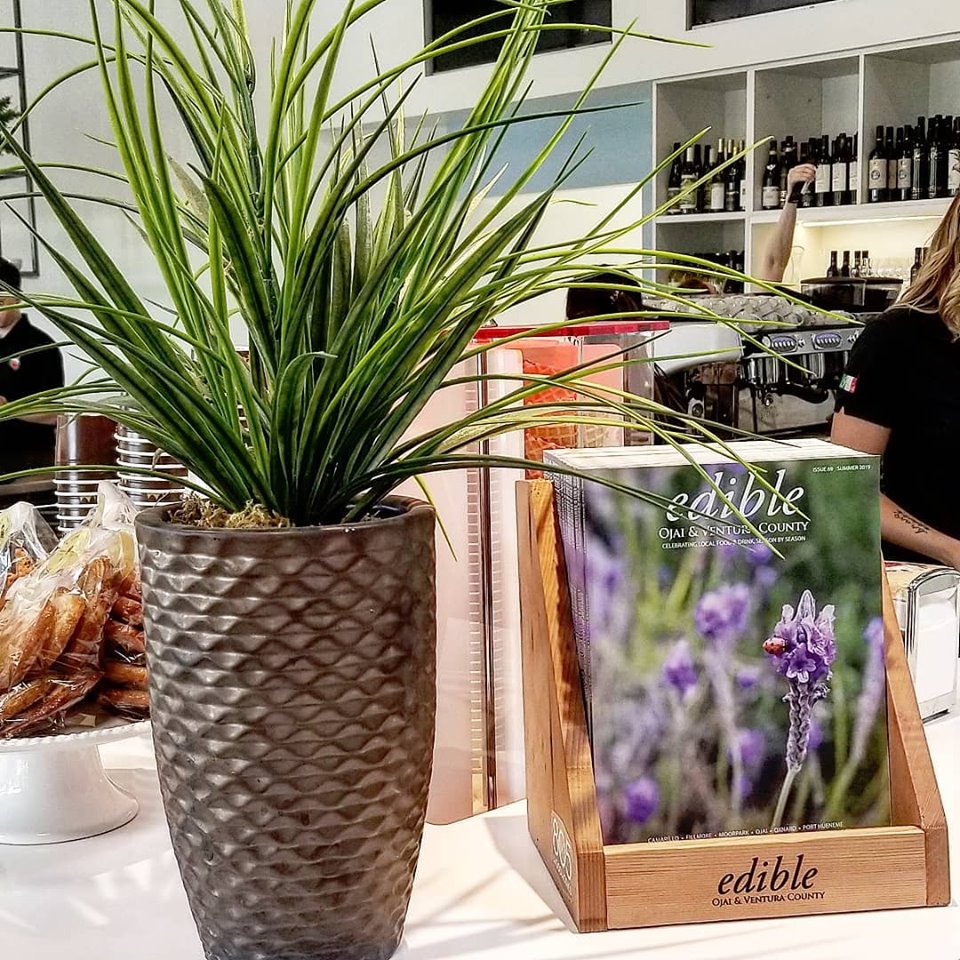 summer issue2019.jpg