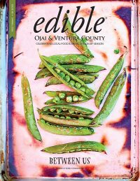 cover-ojai-spring-2026