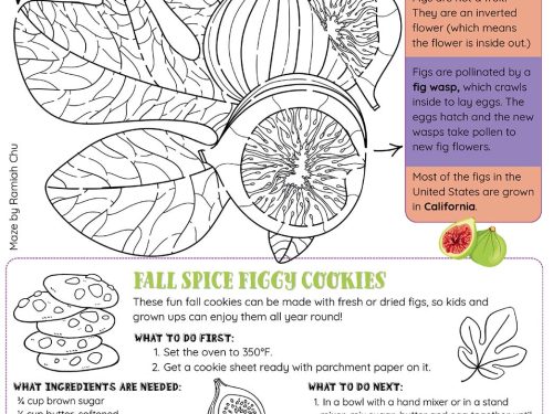 edible-kids-fig-tastic
